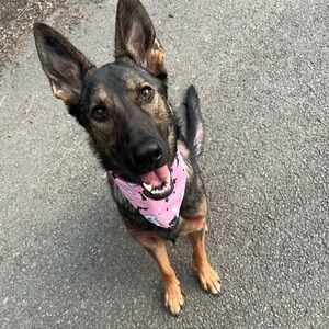 Meet your Posher, Michelina